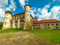 Zamek w Wiśniczu